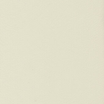 Pale ivory leather texture sample, fine-grained matte surface, subtle tonal variations, natural grain, diffused lighting, small dark speck.